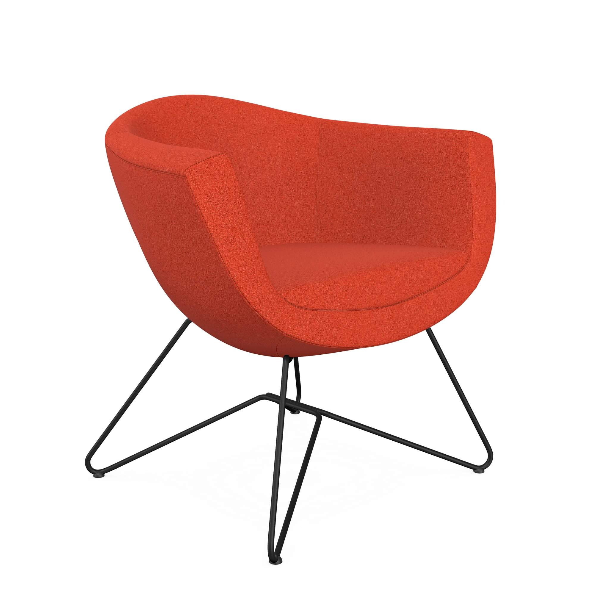 Sorriso Wire Frame Armchair - Model 10V